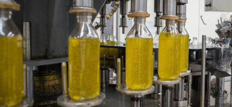 El Proceso de Producción del Aceite de Oliva: De la Oliva al Aceite
